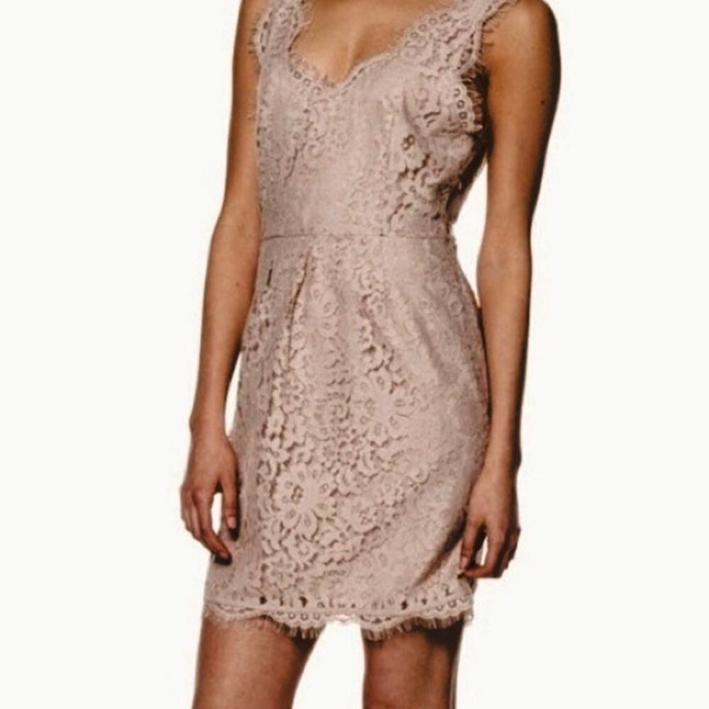 Joie Rori Sleeveless Lace Dress Mushroom Nude Extra Small